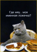  : 0.    .jpg