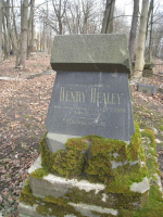  : Henry Healey 2.jpg