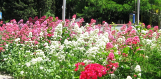  : 04.06.2011 023.jpg