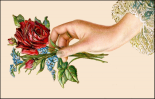  : 0.FLOWERS..jpg