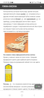  : Screenshot_20230409_150505_Yandex Start.jpg