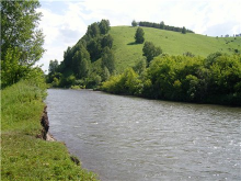  : 48760e83bc80.jpg