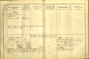  : 30 35 787 242-243.jpg