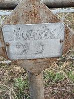 oZurpJcNO_0.jpg, 1855716 
