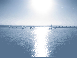 : IMG_4661_resize.jpg