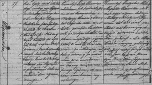  : 1846 zygmunt zwirowicz.png