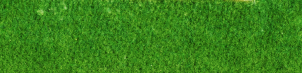  : file1.jpg