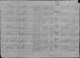 8.    00000204.jpg, 189862 