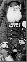  :  Web.gif