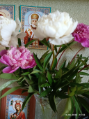  : IMG_20230616_125345.jpg