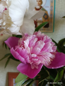 IMG_20230616_125639.jpg, 175549 
