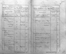1816-2.JPG, 919127 