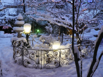  : 31.01.2012 242.jpg