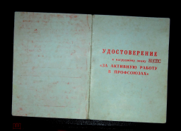 261027246.1.jpg, 231633 