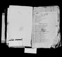 record-image_.jpg, 904352 