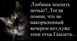 i.jpg, 50443 