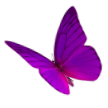 Подарок: Фиолетовый махаон
