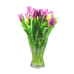 Подарок: Букет тюльпанов в прозрачной вазе